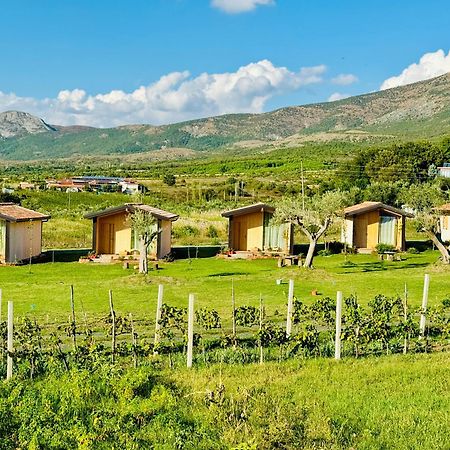 Fishta Guesthouse - Mrizi I Zanave Fishte Ngoại thất bức ảnh