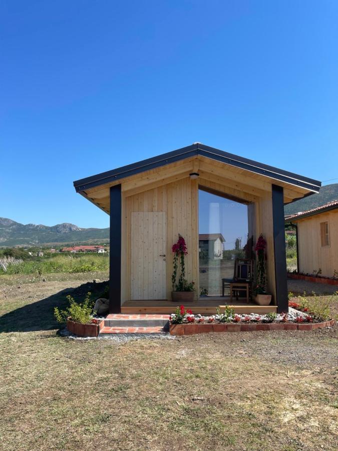 Fishta Guesthouse - Mrizi I Zanave Fishte Ngoại thất bức ảnh