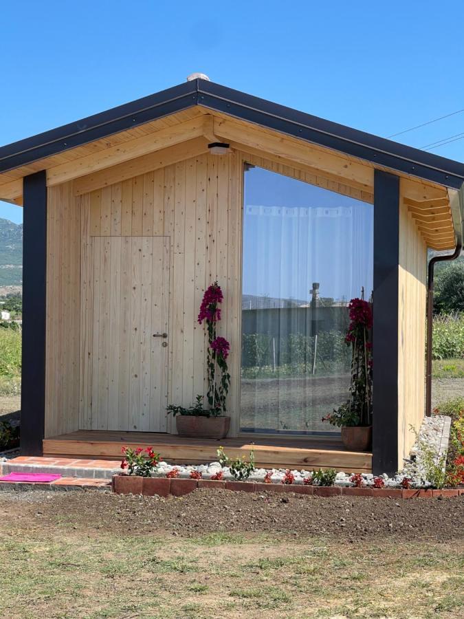 Fishta Guesthouse - Mrizi I Zanave Fishte Ngoại thất bức ảnh