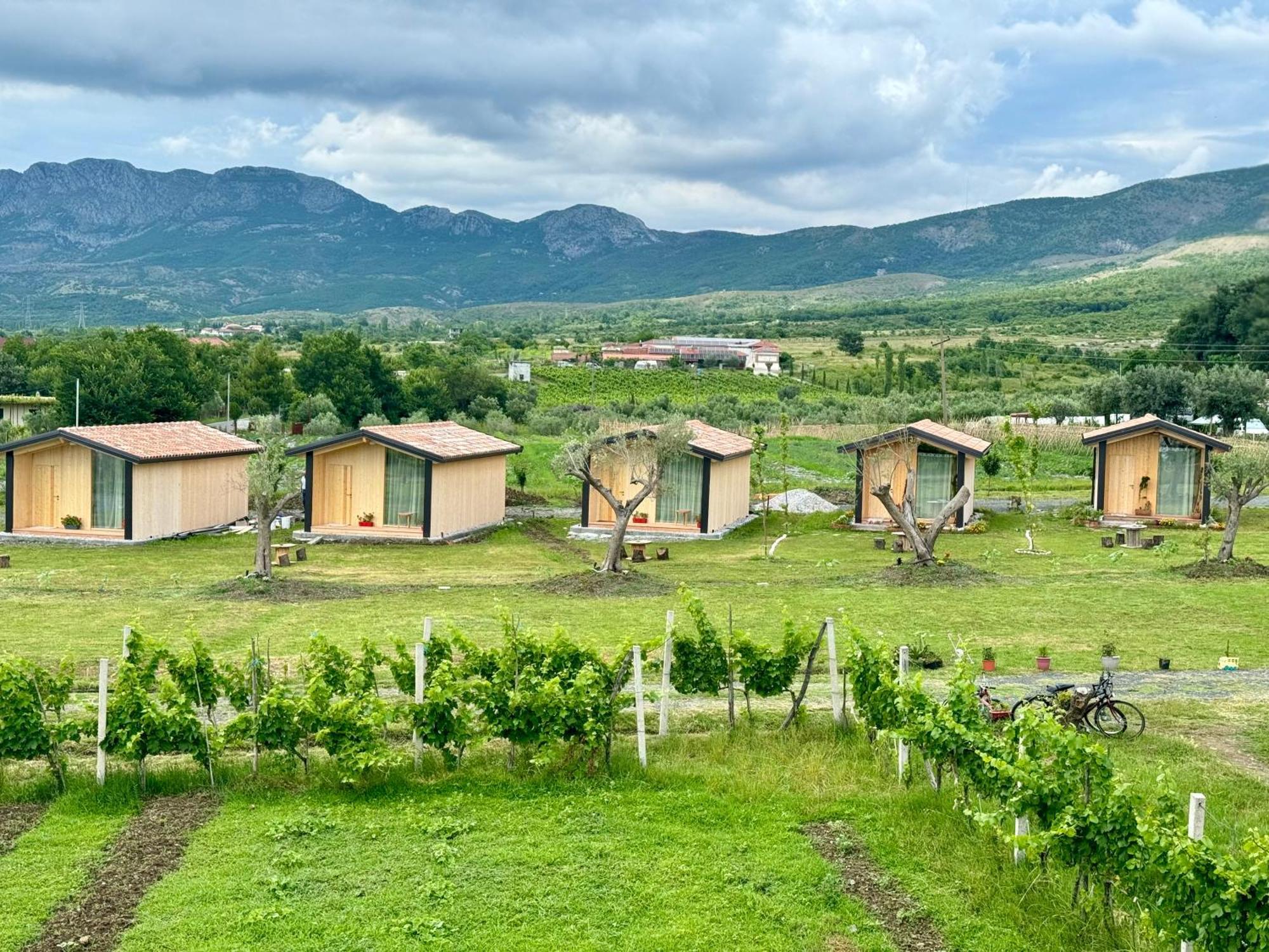Fishta Guesthouse - Mrizi I Zanave Fishte Ngoại thất bức ảnh