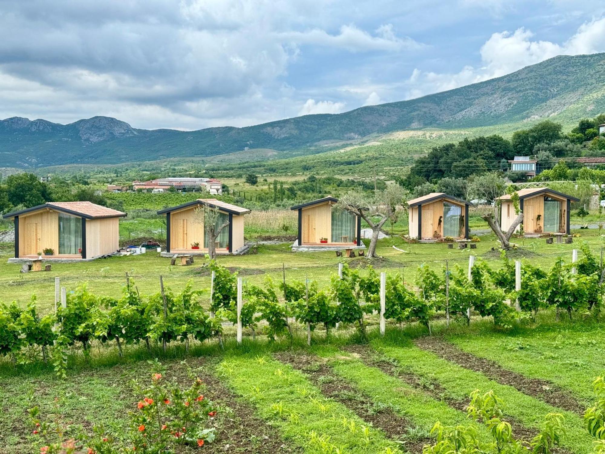 Fishta Guesthouse - Mrizi I Zanave Fishte Ngoại thất bức ảnh