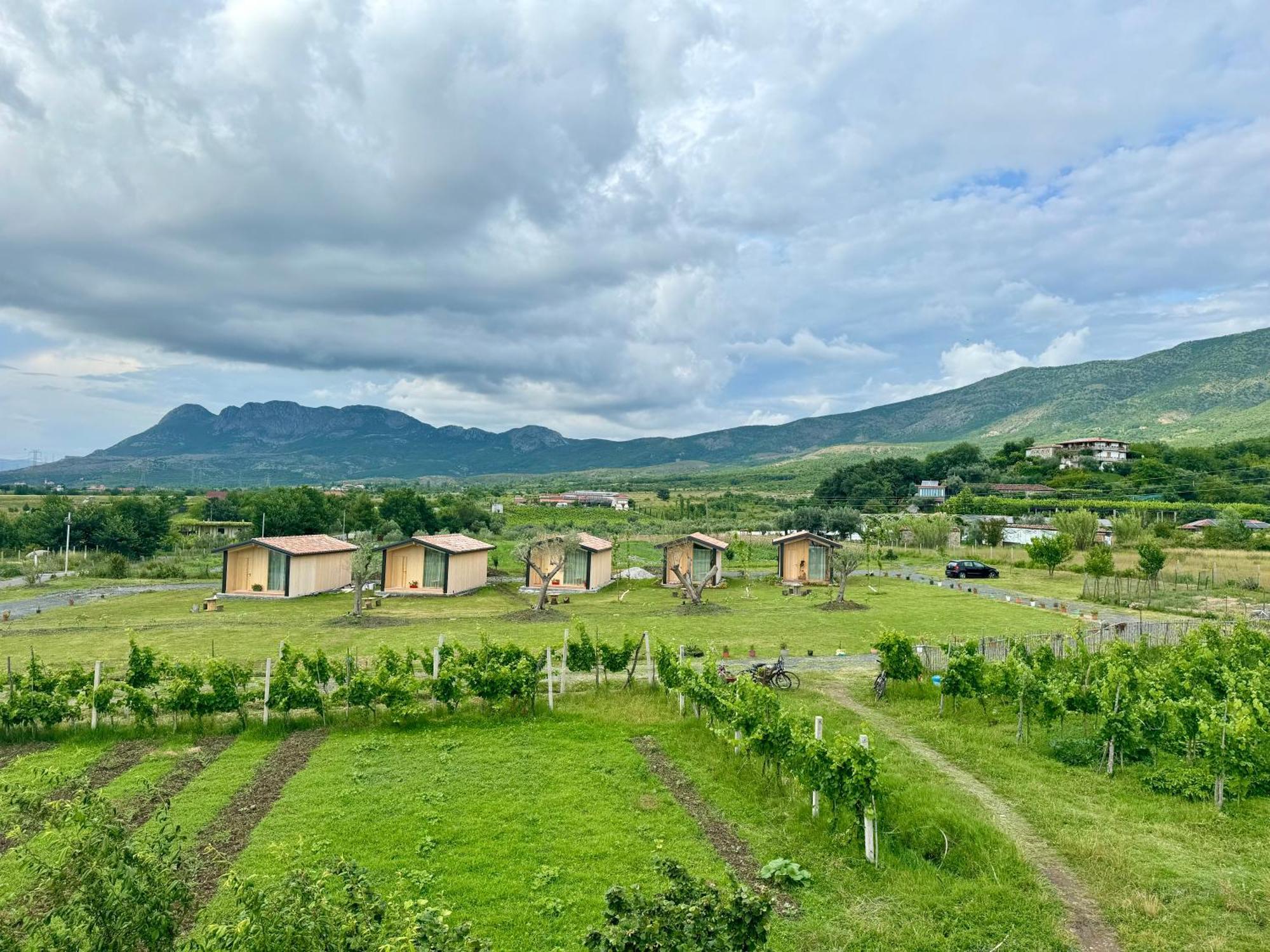 Fishta Guesthouse - Mrizi I Zanave Fishte Ngoại thất bức ảnh