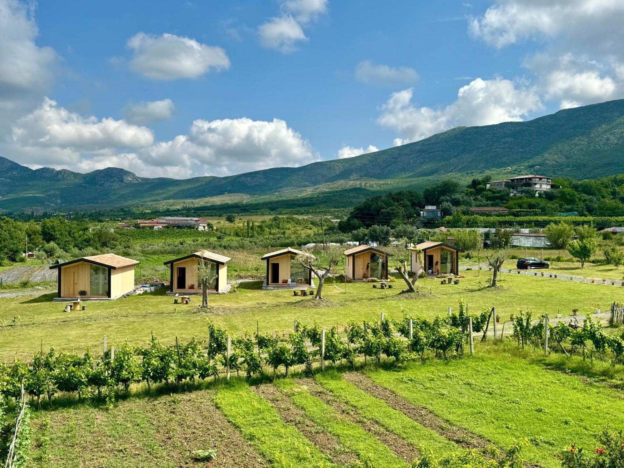 Fishta Guesthouse - Mrizi I Zanave Fishte Ngoại thất bức ảnh
