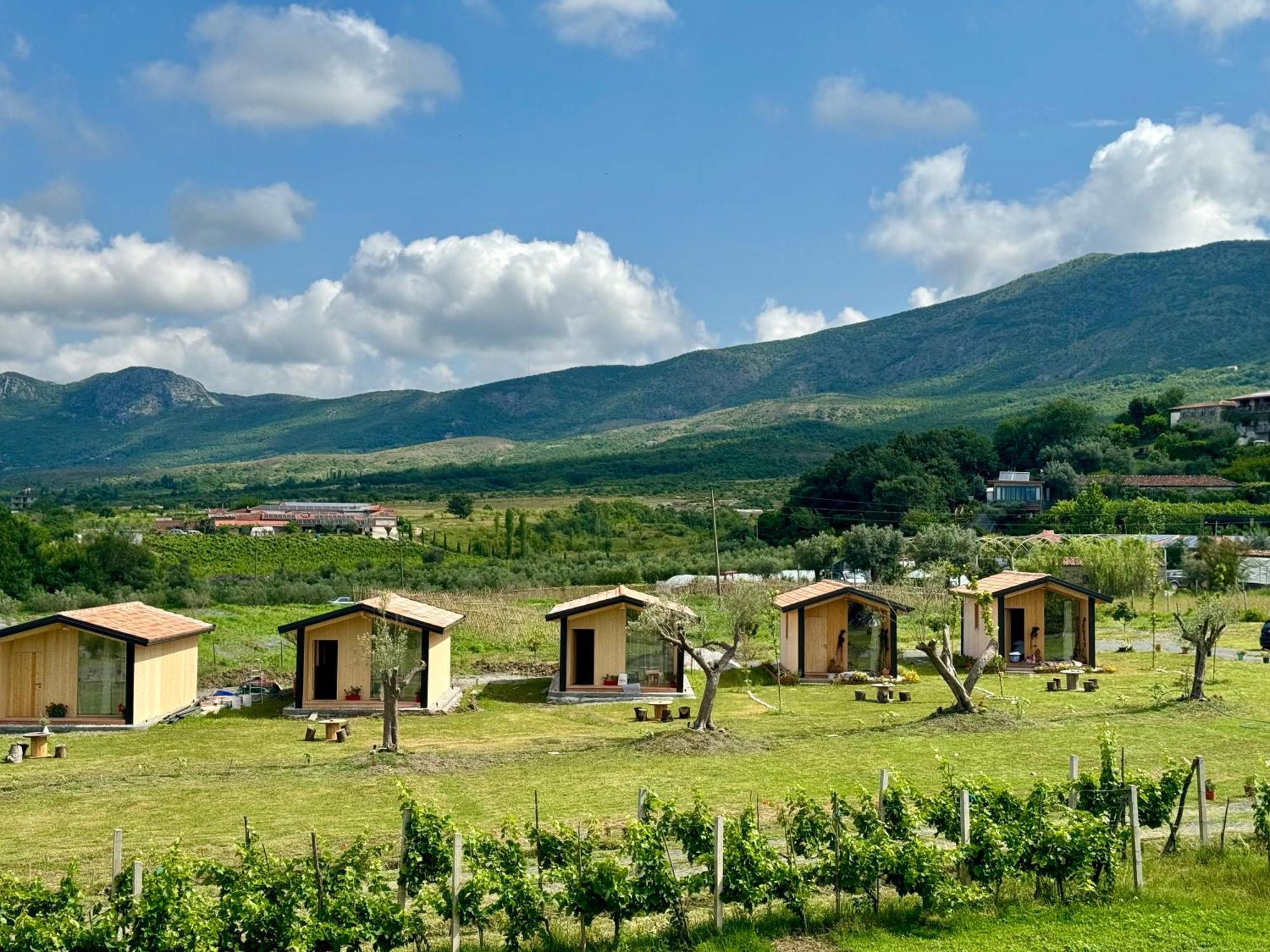 Fishta Guesthouse - Mrizi I Zanave Fishte Ngoại thất bức ảnh