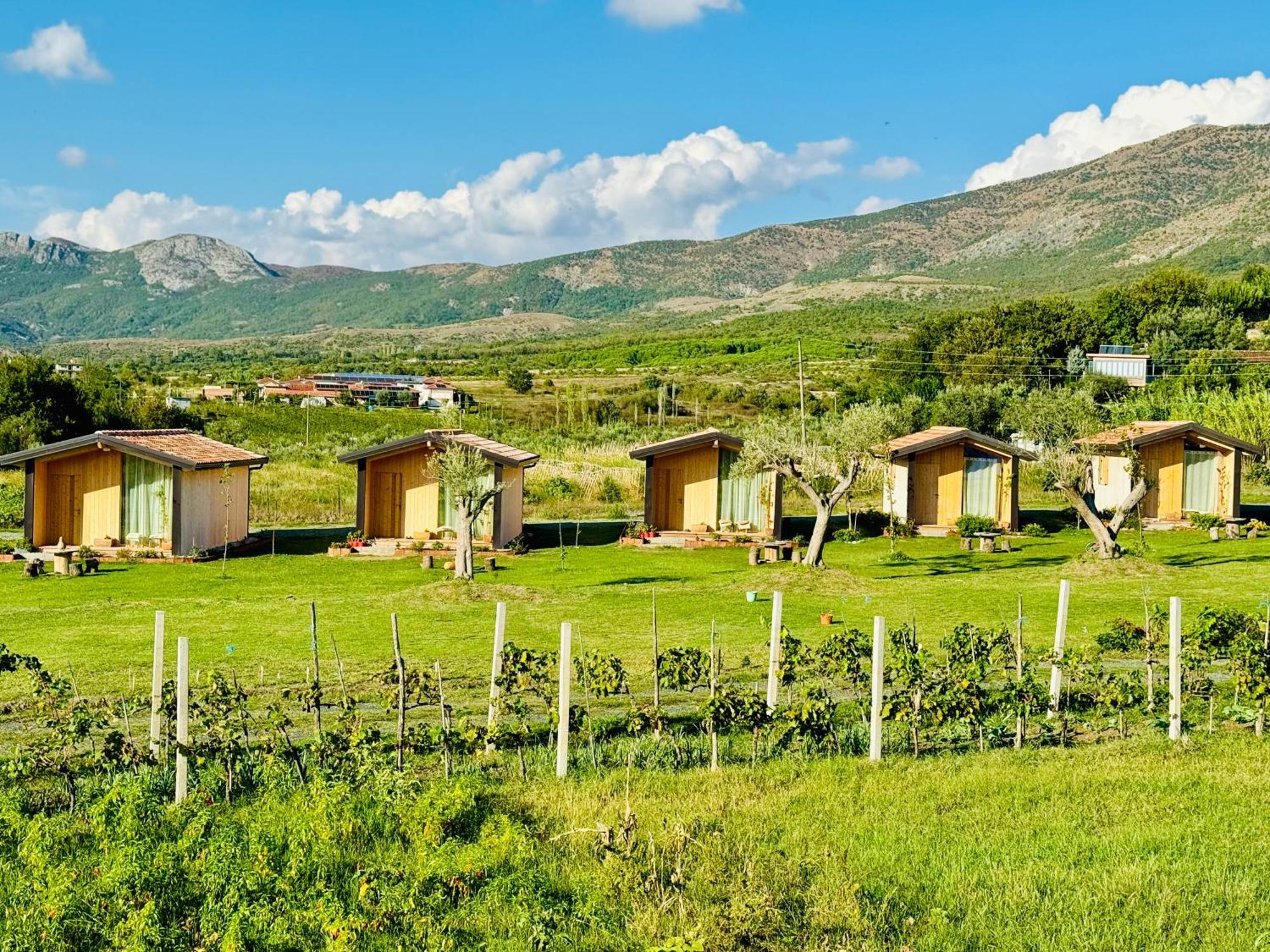 Fishta Guesthouse - Mrizi I Zanave Fishte Ngoại thất bức ảnh