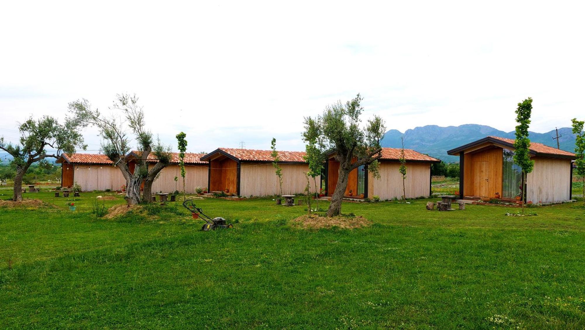 Fishta Guesthouse - Mrizi I Zanave Fishte Ngoại thất bức ảnh